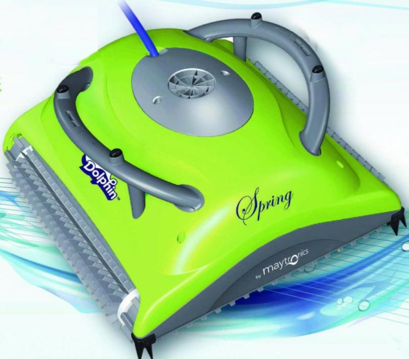 Dolphin Spring