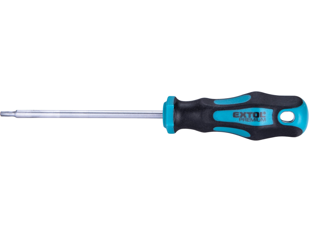 Extol Premium 8819245 šroubovák TORX, T15x100mm, CrV