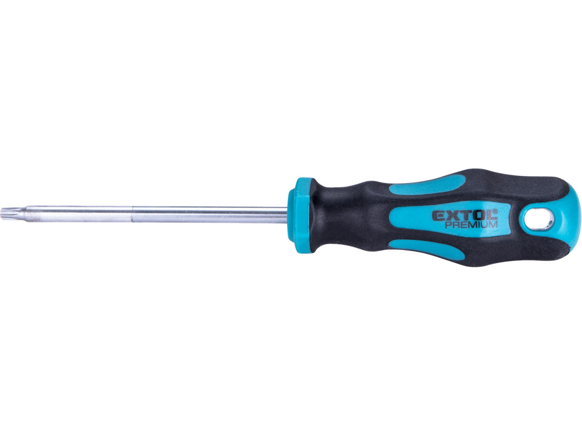 Extol Premium 8819247 šroubovák TORX, T25x100mm, CrV