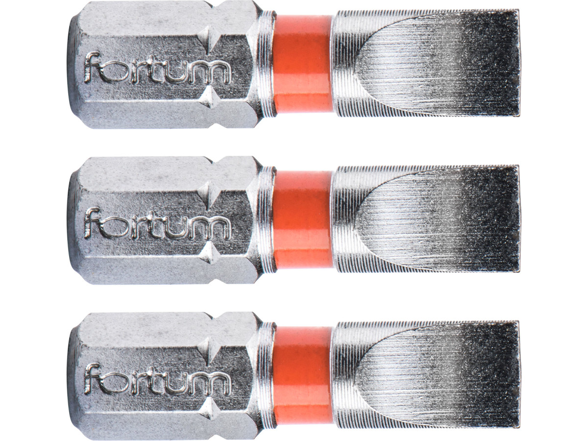 Fortum 4741106 hrot plochý sada 3ks, 6x25mm, S2