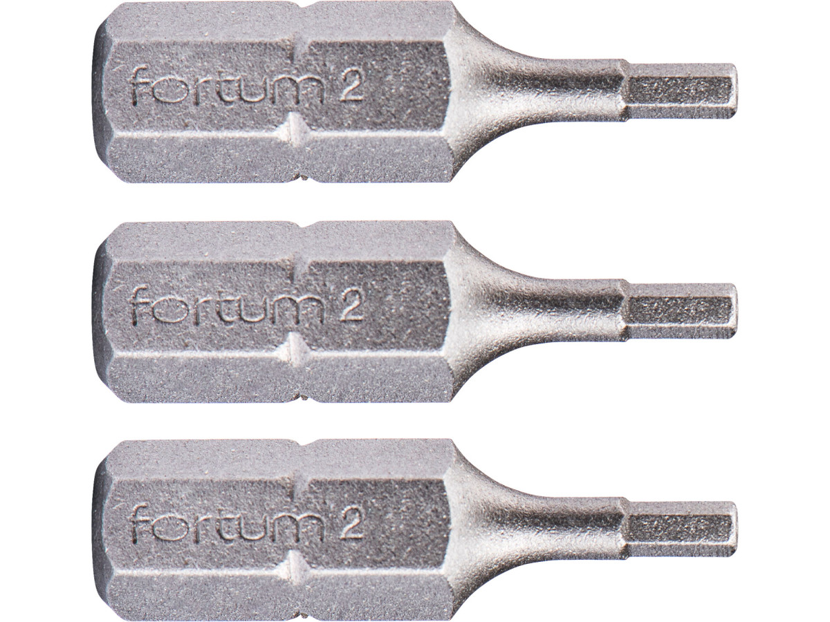Fortum 4741502 hrot imbus sada 3ks, H 2x25mm, S2