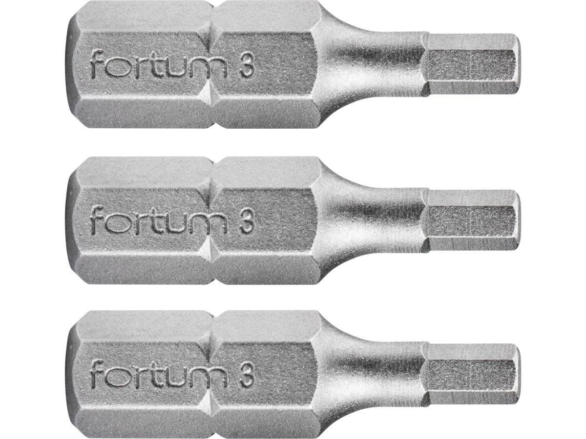 Fortum 4741504 hrot imbus sada 3ks, H 3x25mm, S2