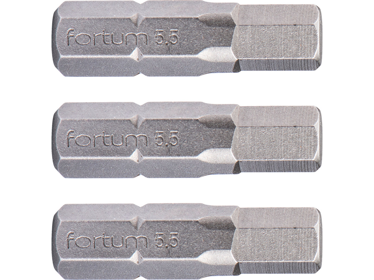 Fortum 4741507 hrot imbus sada 3ks, H 5,5x25mm, S2